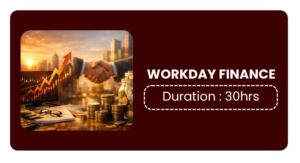 Workday Finance Training In Pune Online