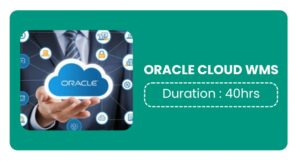 Oracle Cloud Wms Training In Pune Online