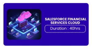 Salesforce Financial Services Cloud Training In Pune Online