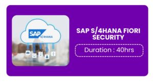 Sap S/4hana Fiori Security Training In Pune Online