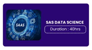 Sas Data Science Training In Pune Online