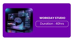 Workday Studio Training In Pune Online